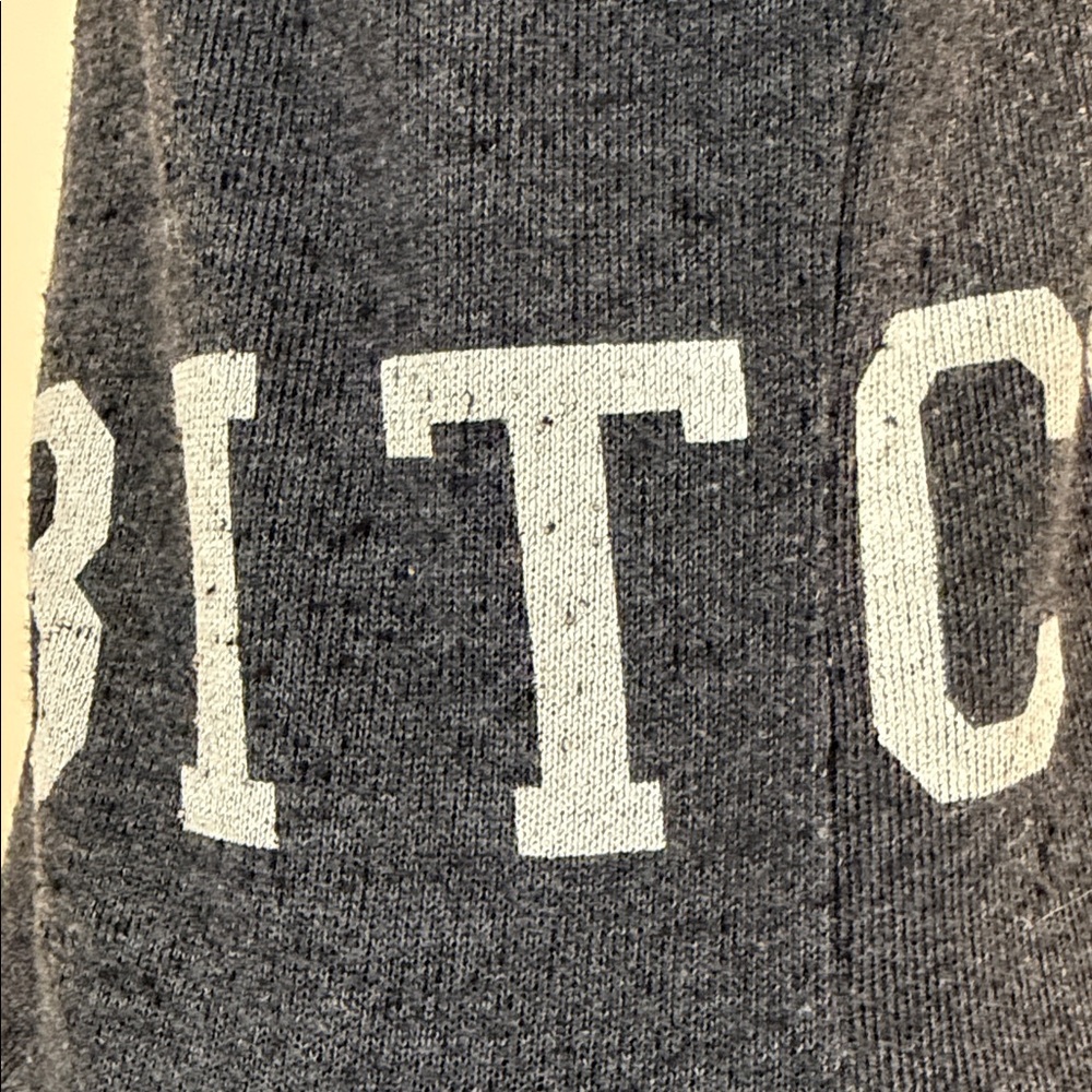 WILDFOX charcoal grey zip hoodie - Picture 13 of 16